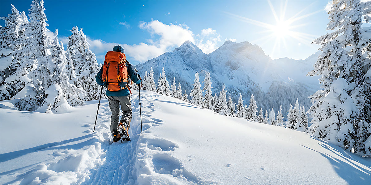 Why Does UV Radiation Increase So Dramatically with Altitude?