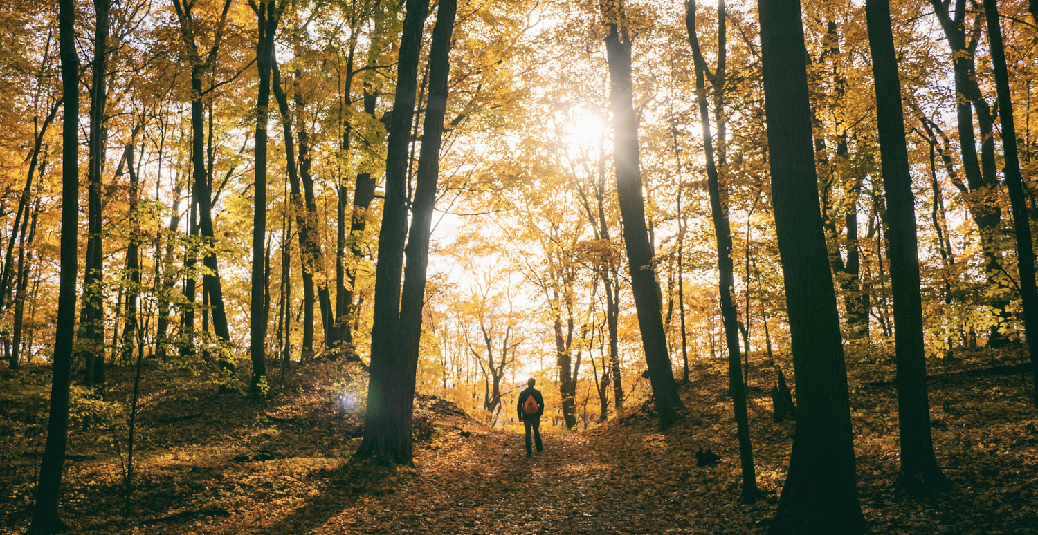Why You Still Need Sunscreen in the Fall: Tips for Year-Round Sun Protection